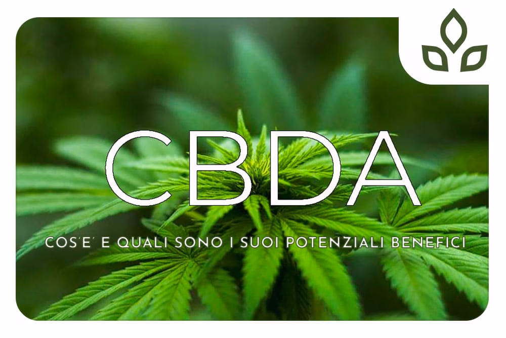 CBDA
