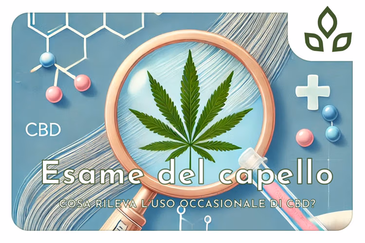 esame capello uso occasionale