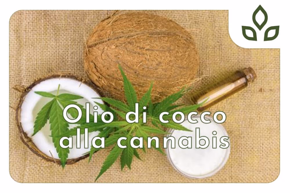olio di cocco alla cannabis