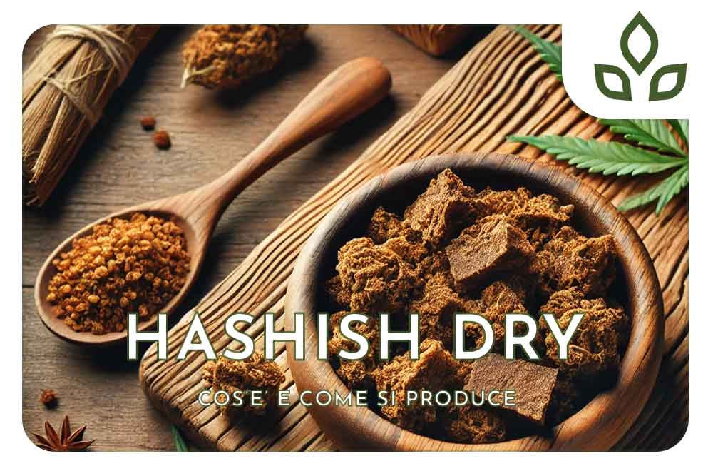 Hashish dry