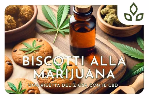 biscotti marijuana