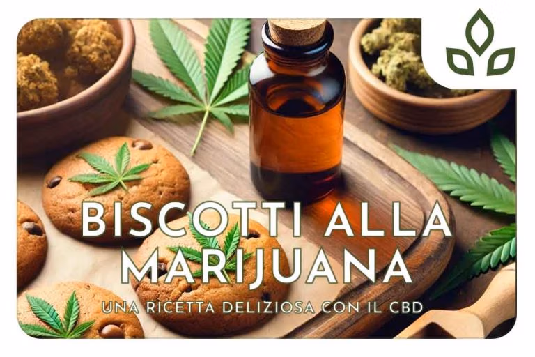 biscotti marijuana
