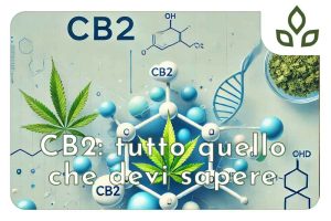 cb2