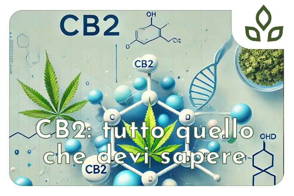 cb2