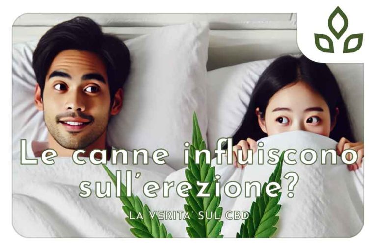 le canne influiscono sull'erezione