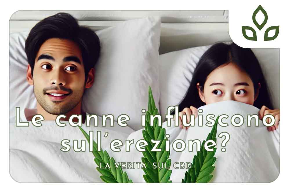 le canne influiscono sull'erezione