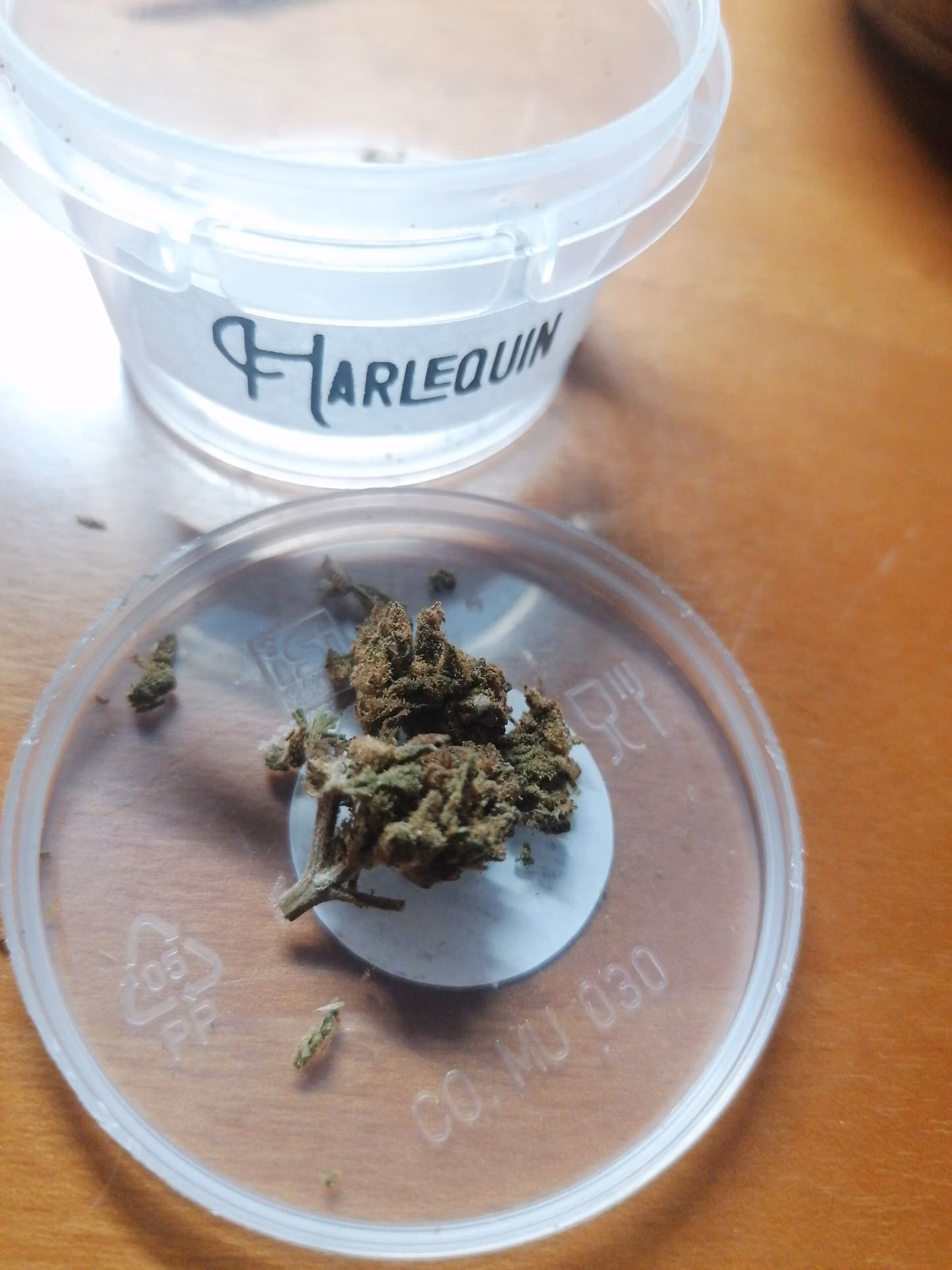 Immagine #1 da Allison Carpi