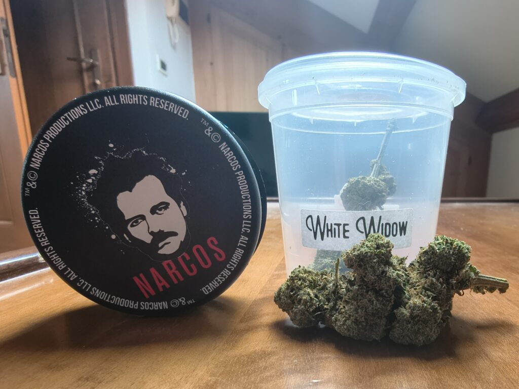 Immagine #1 da Sebastiano