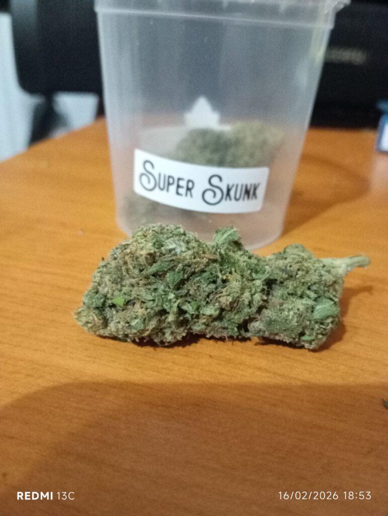 Immagine #1 da Massimo Russo