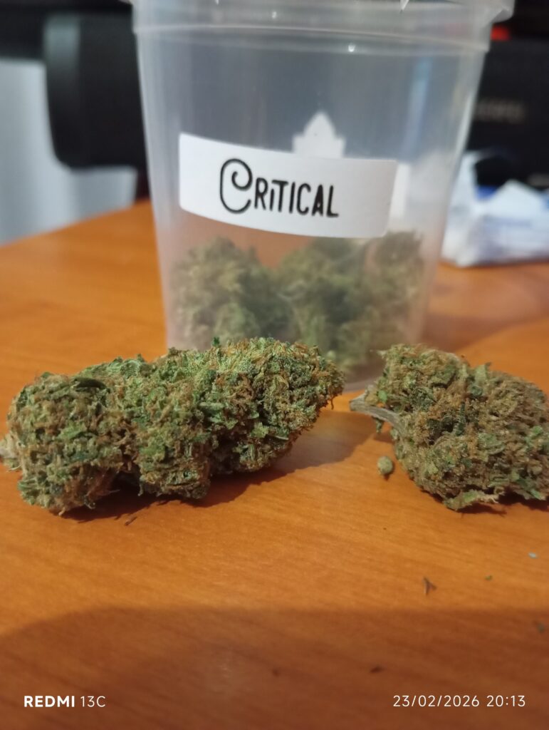 Immagine #1 da Massimo Russo