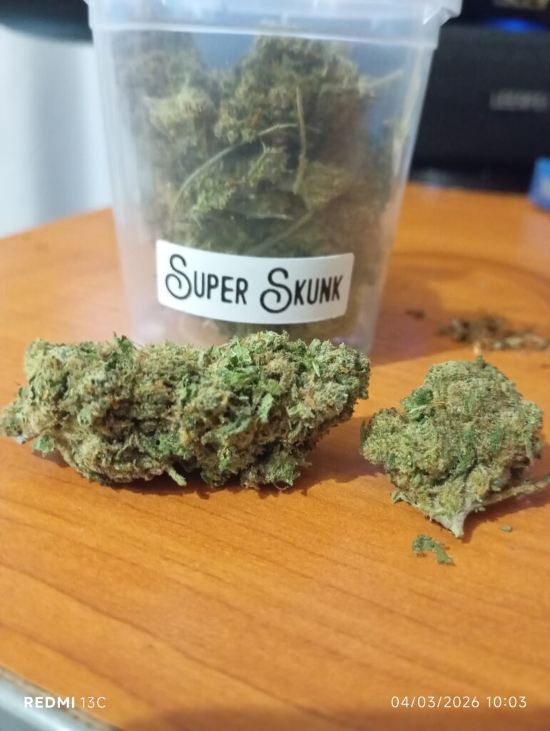 Immagine #1 da Massimo Russo