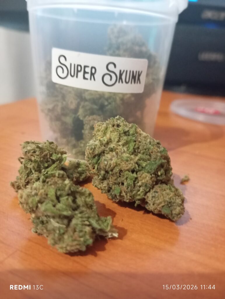 Immagine #1 da Massimo Russo