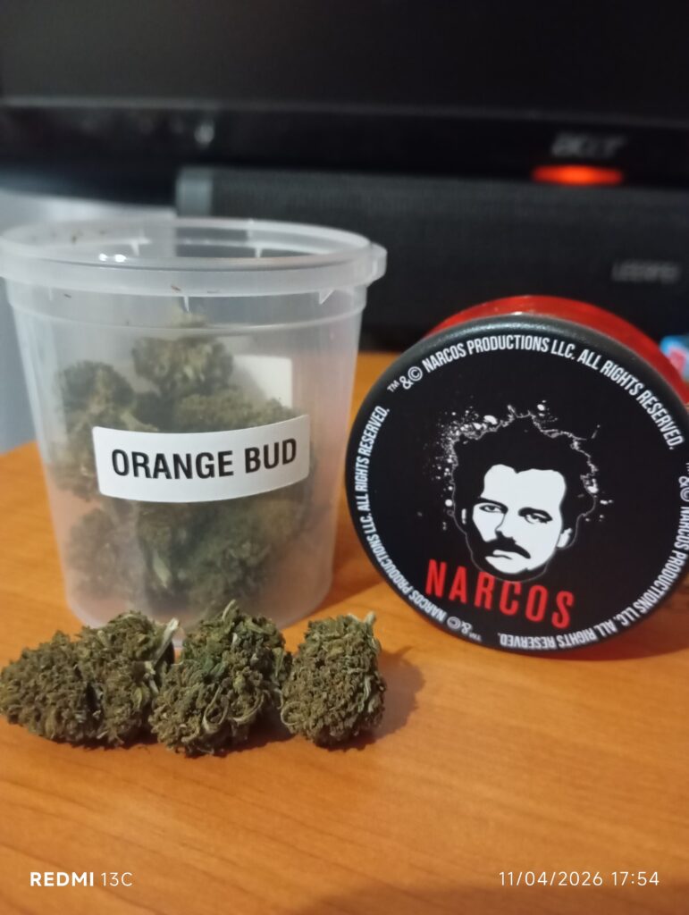 Immagine #1 da Massimo Russo