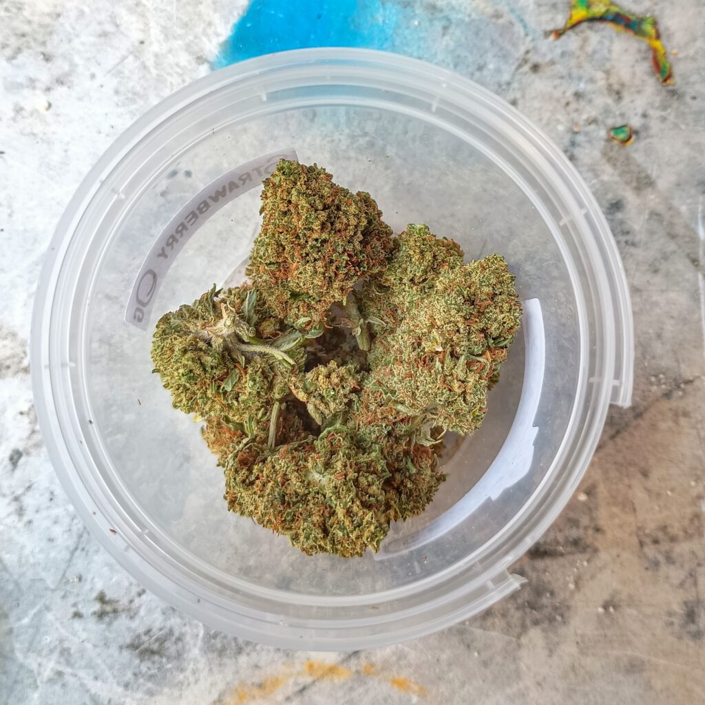 Immagine #1 da Maurizio Rossi