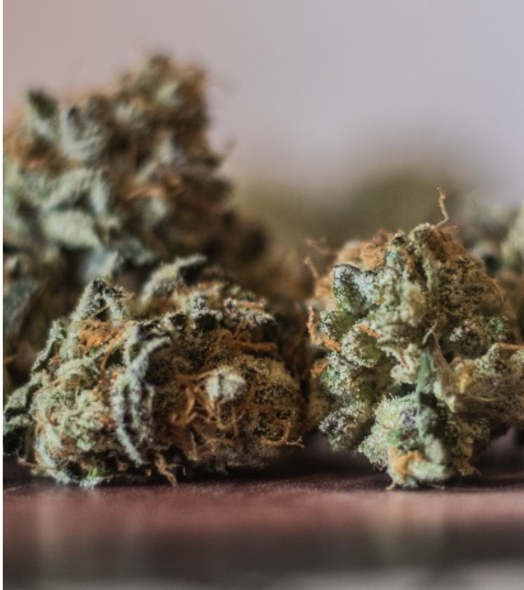 Immagine #1 da Andrea