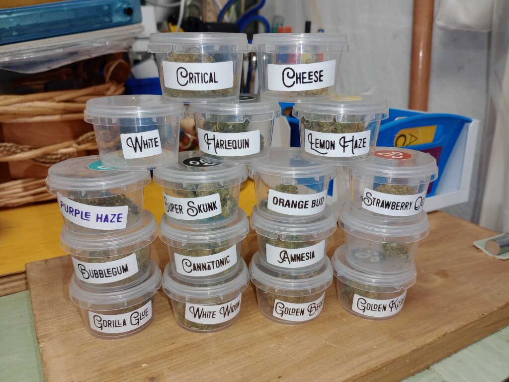 Immagine #1 da Kobra