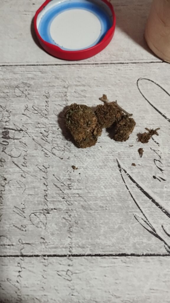 Immagine #1 da Annunziata Giordano