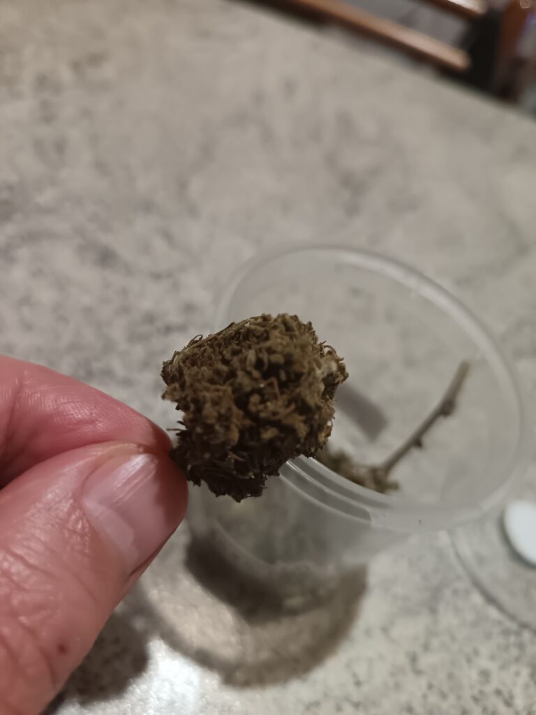 Immagine #1 da Massimiliano Aitoro