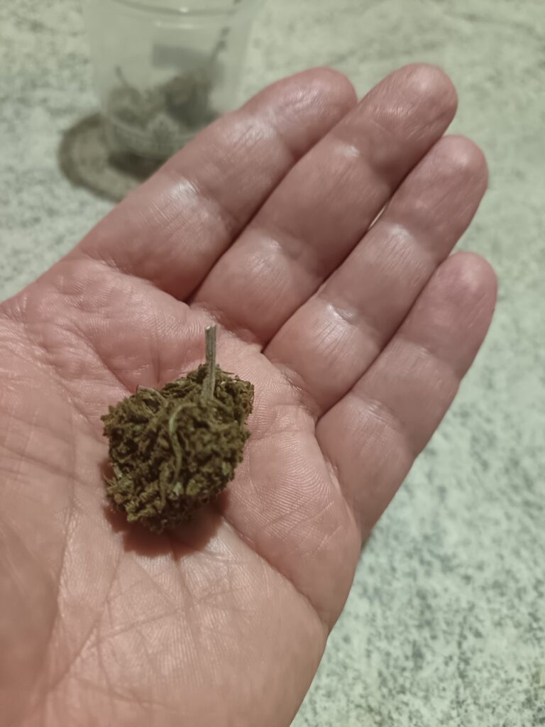 Immagine #2 da Massimiliano Aitoro