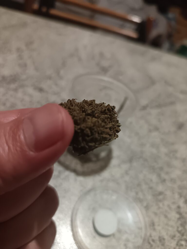 Immagine #3 da Massimiliano Aitoro