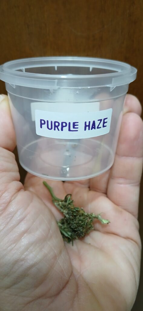 Immagine #1 da Paolo