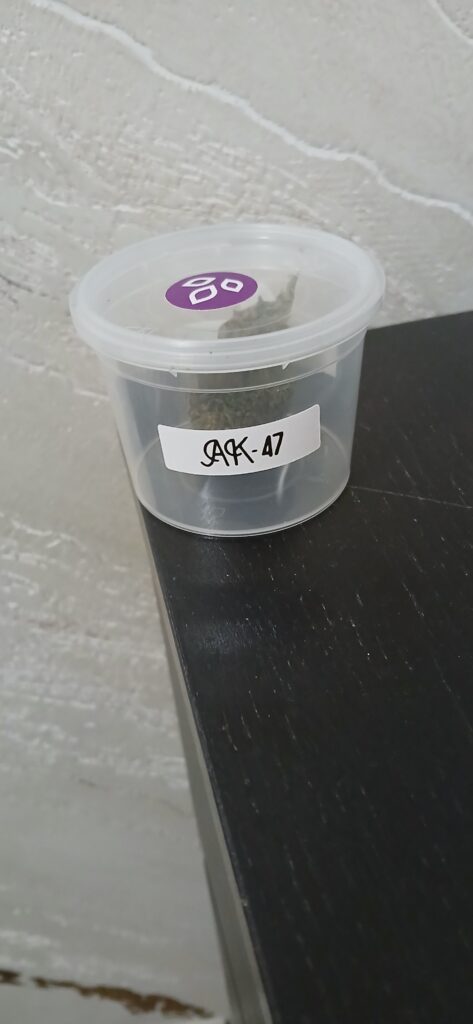 Immagine #1 da Paolo