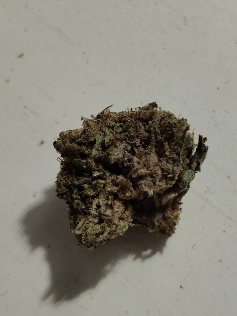 Immagine #2 da Antonio