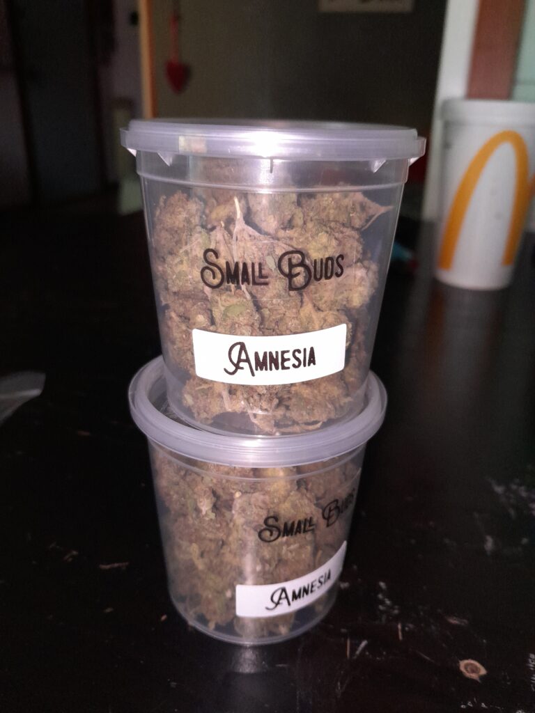 Immagine #1 da Monia