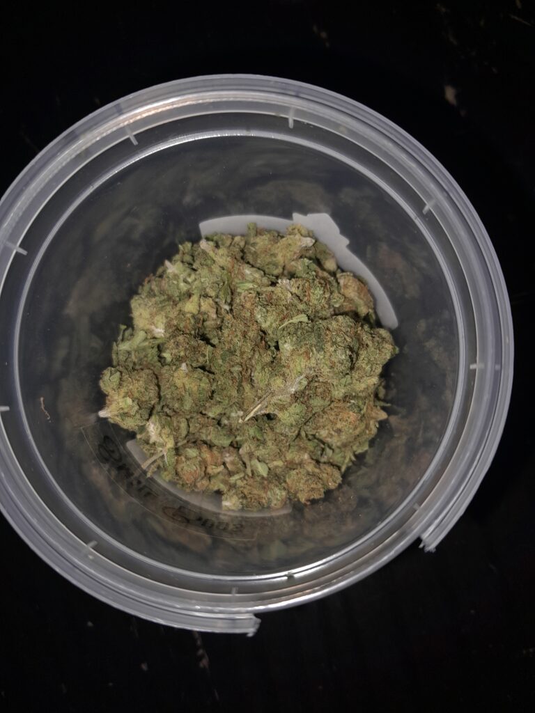 Immagine #1 da Monia Bertola