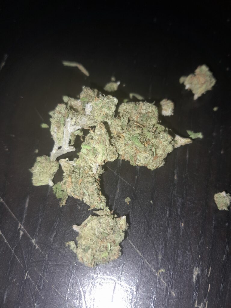 Immagine #1 da Monia Bertola