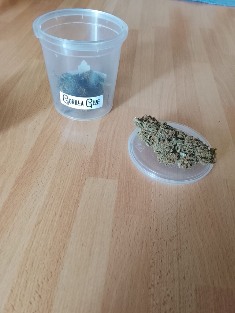 Immagine #1 da Dario