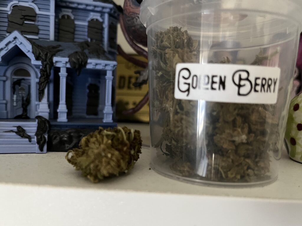 Immagine #1 da Simona