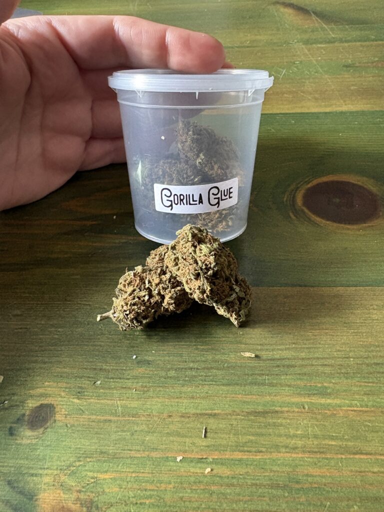 Immagine #1 da Stefano