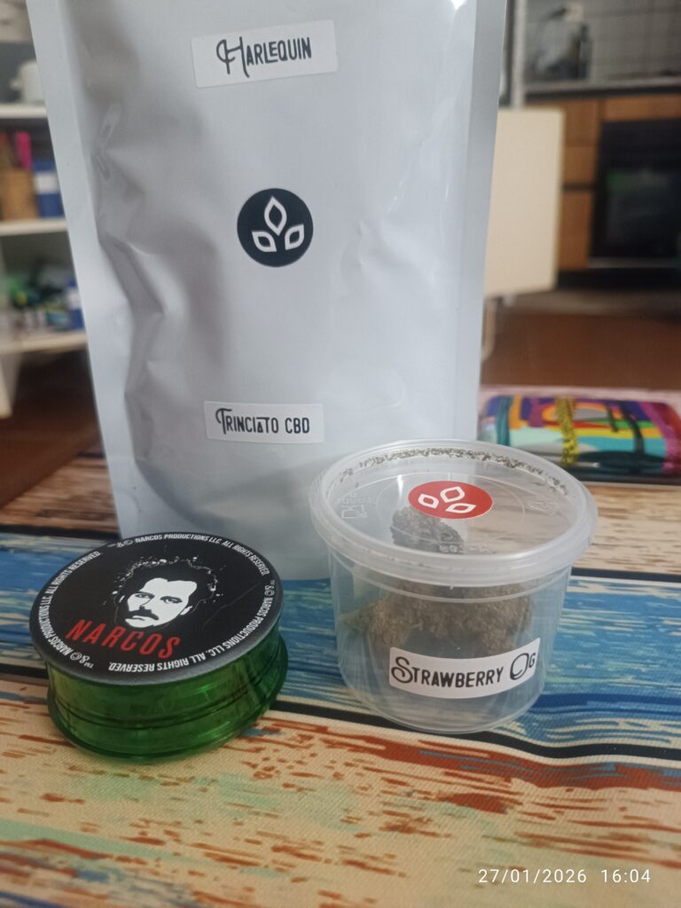 Immagine #1 da Manca Laura Grazia