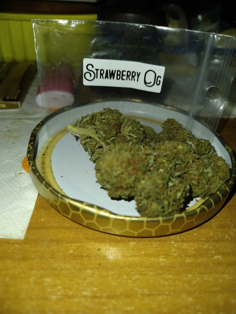 Immagine #1 da Sandro