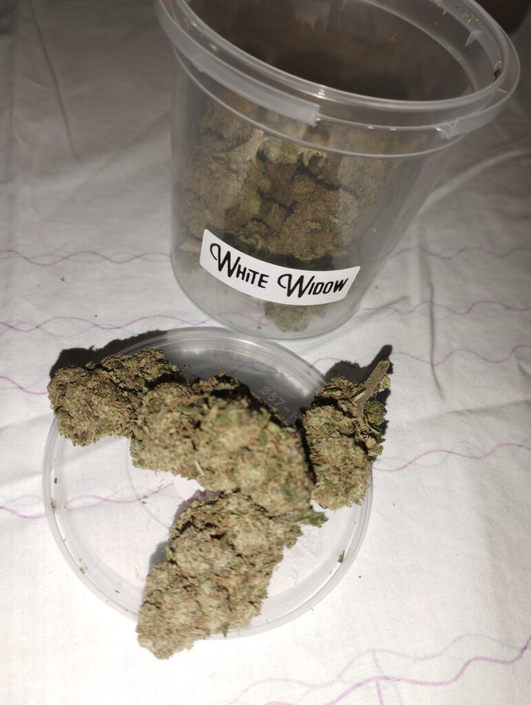 Immagine #1 da Giuseppe