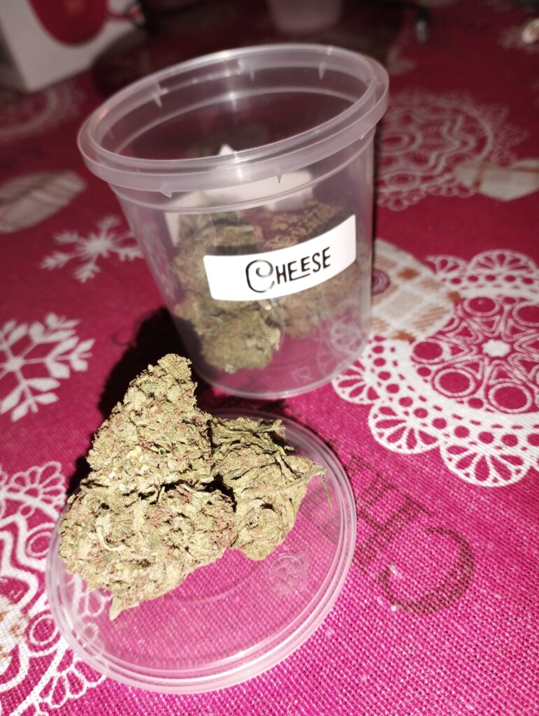 Immagine #1 da Giuseppe