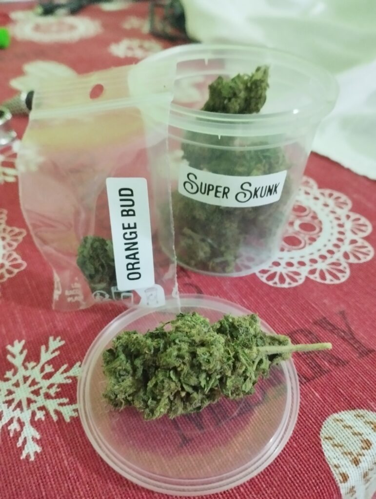 Immagine #1 da Giuseppe