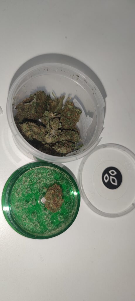 Immagine #1 da Giuseppe Marras