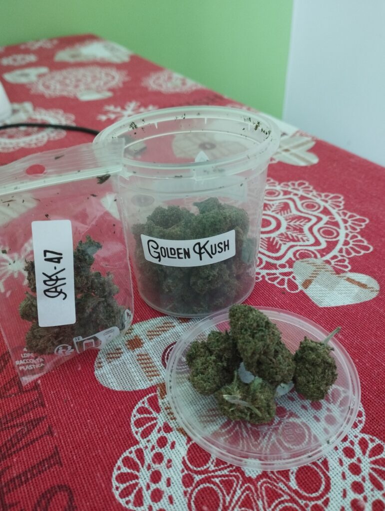 Immagine #1 da Giuseppe Adesso