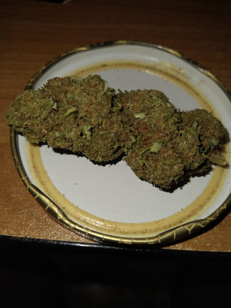 Immagine #1 da Sandro