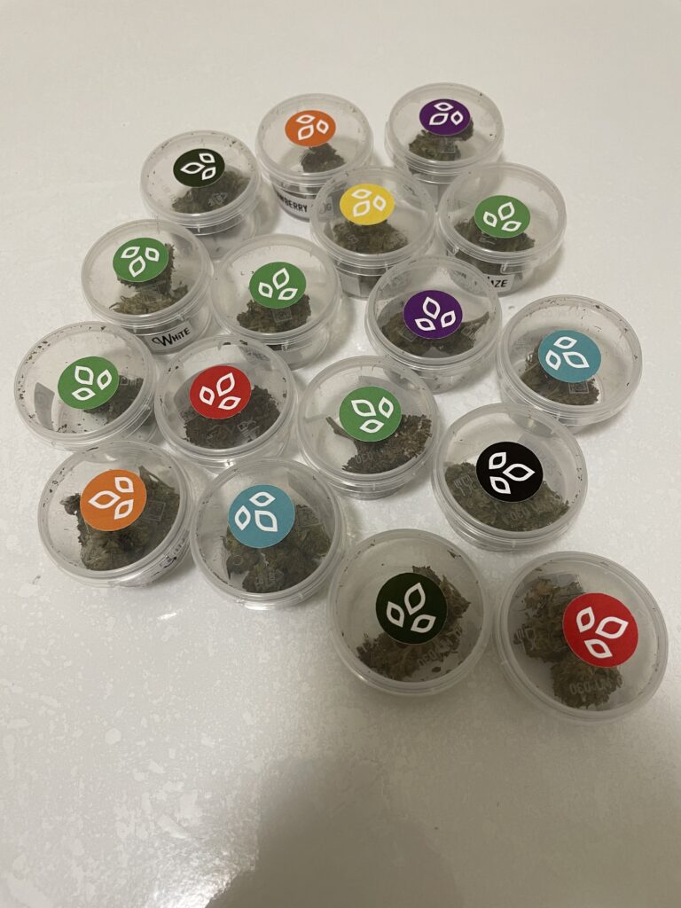 Immagine #1 da Francesco