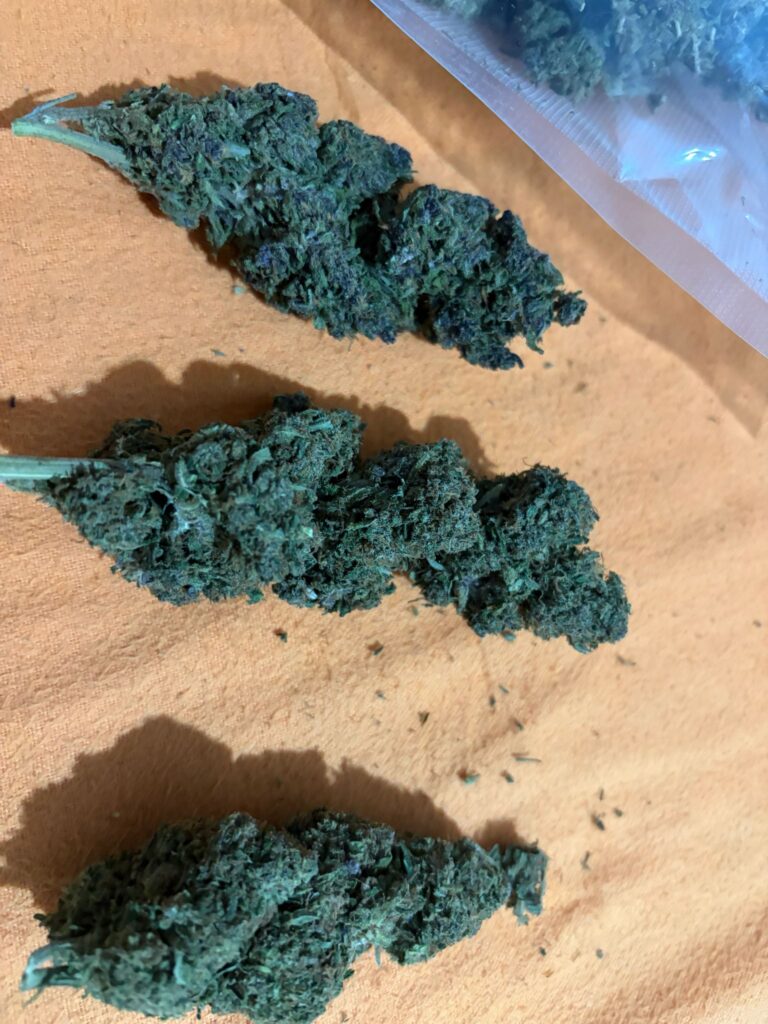 Immagine #2 da MauBlux