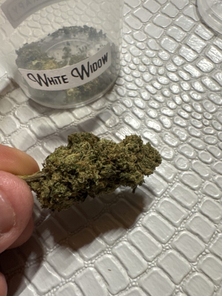 Immagine #1 da daniel