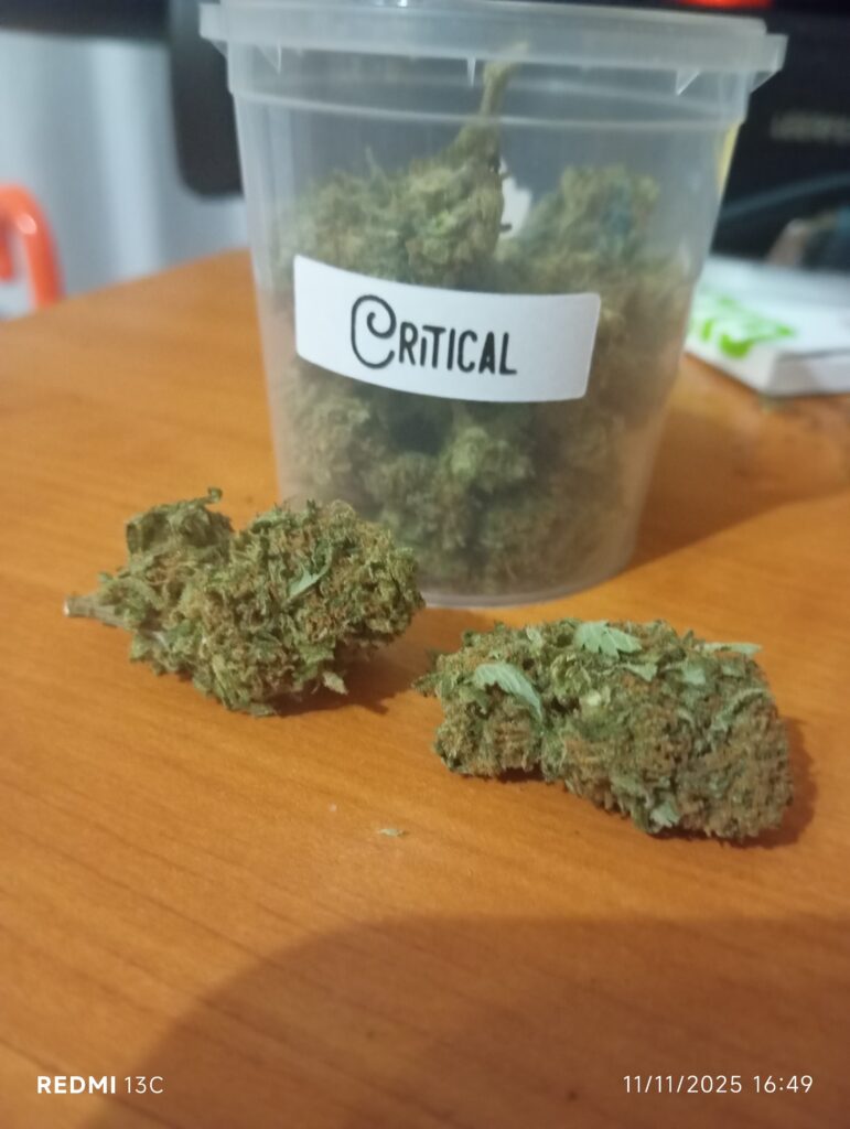 Immagine #1 da Massimo Russo