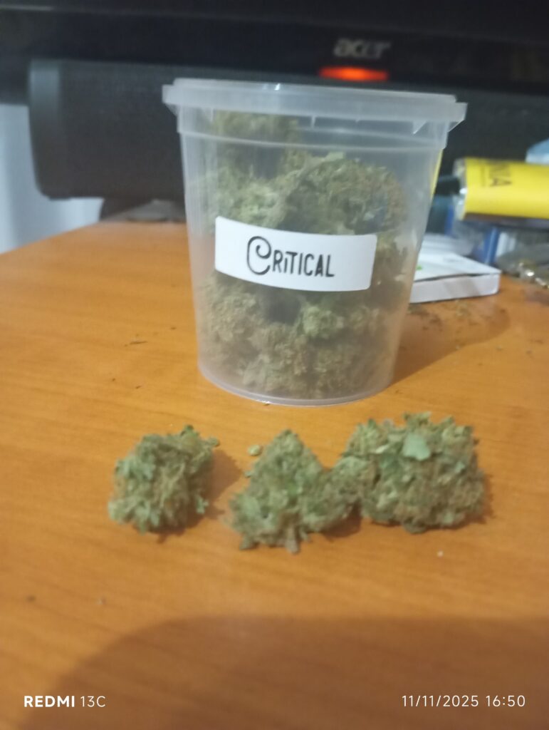 Immagine #1 da Massimo Russo