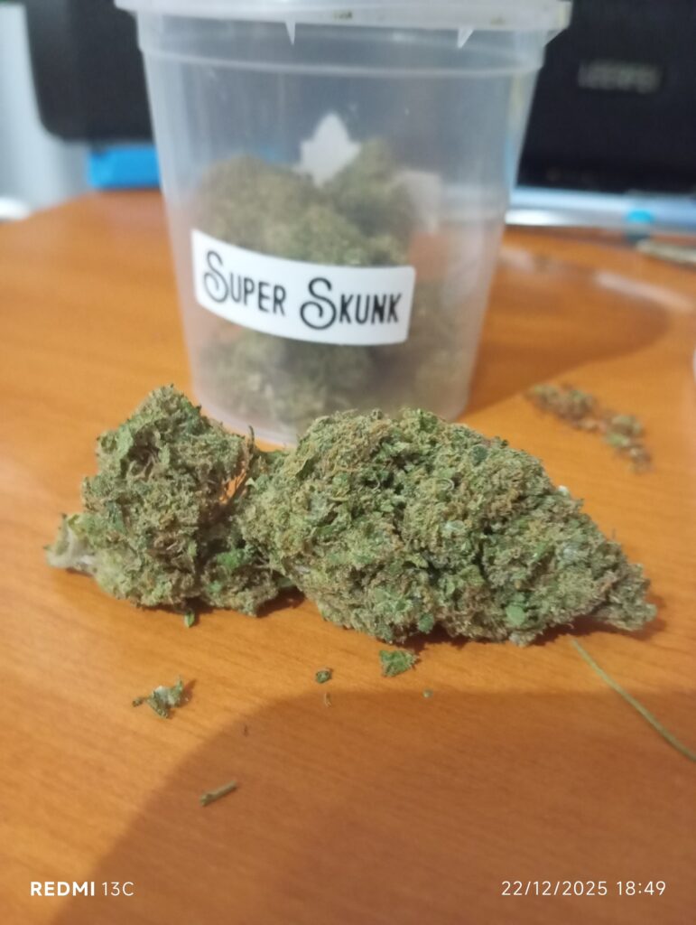 Immagine #1 da Massimo Russo