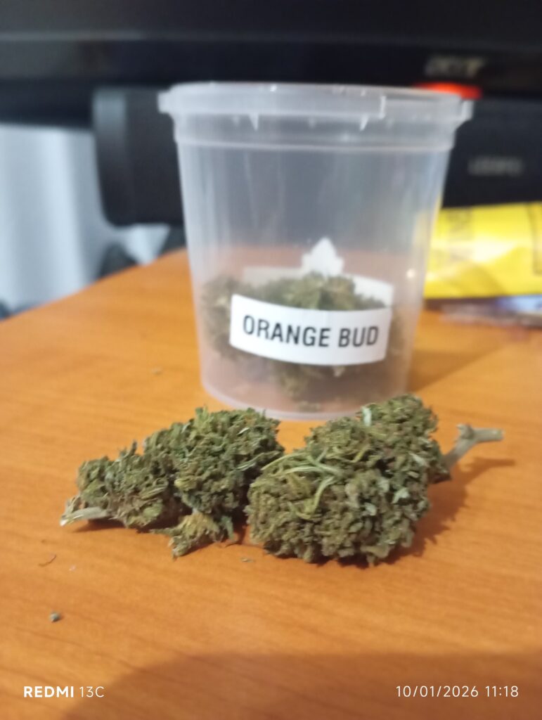 Immagine #1 da Massimo Russo