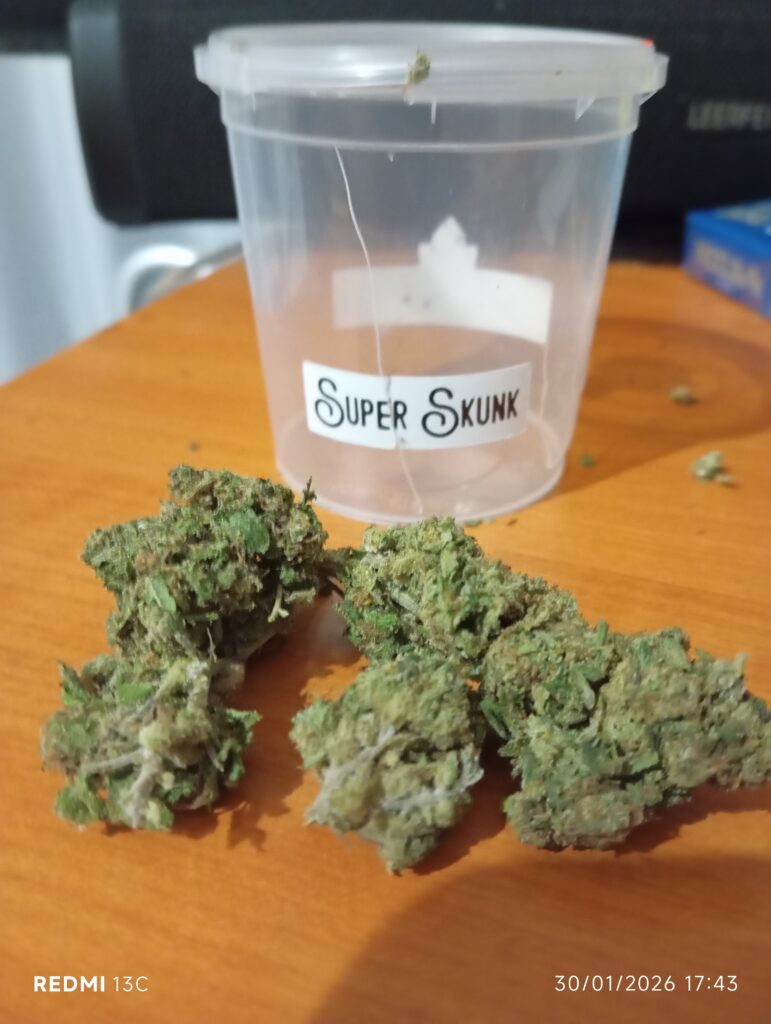 Immagine #1 da Massimo Russo