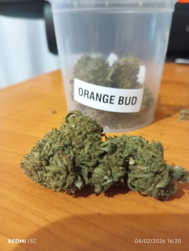 Immagine #1 da Massimo Russo